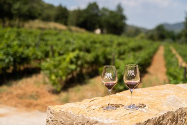 Güneşli gökyüzünün altında yemyeşil bir üzüm bağında taş masada iki şarap kadehi güzel bir sahne yaratıyor.
