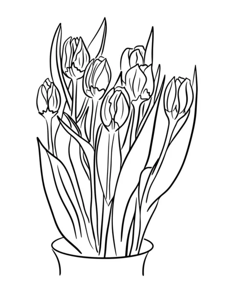 手でチューリップの束を描いた ベクトルスケッチイラスト 白い背景に孤立した花 タトゥーとして ページの着色に適しています — ストックベクタ
