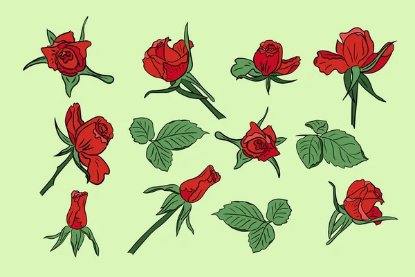 Set Rose Vettoriali Disegnate Mano Rossa Con Foglie Fiori Foglie — Vettoriale Stock