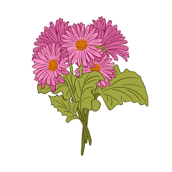 Rosafarbener Handgezeichneter Gerberastrauß Umriss Flache Vektorisolierte Illustration Florale Komposition Auf — Stockvektor