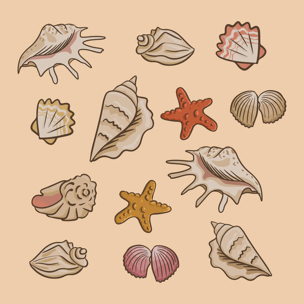 Collection of flat vector seashells. Sea or ocean elements composition. Isolated seashells and starfish on sand background. Perfect for stickers, tatoo, pattern, background, wrapping paper
