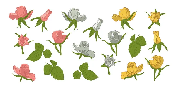 手描きの平らなバラのセットが頭を咲かせています ベクターは白い背景の葉が付いているバラ 黄色および白い花を隔離しました ステッカー パターン 包装紙に最適 — ストックベクタ