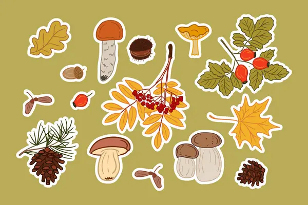 收集秋天的蘑菇和树叶贴纸 病媒手绘分离的有色真菌和秋天叶与白色轮廓 包装纸最理想 — 图库矢量图片