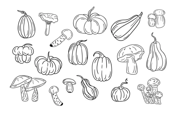 Большой Набор Ручных Набросков Сквошей Грибов Autumn Doodle Design Черный — стоковый вектор