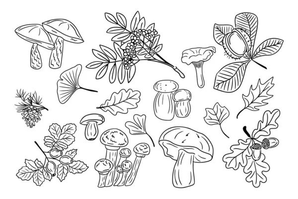 大的一套手绘涂鸦秋天的叶子和蘑菇 白色背景上的黑色素描元素 不同类型的真菌 森林树叶和浆果 适用于网页 塔图的着色 — 图库矢量图片