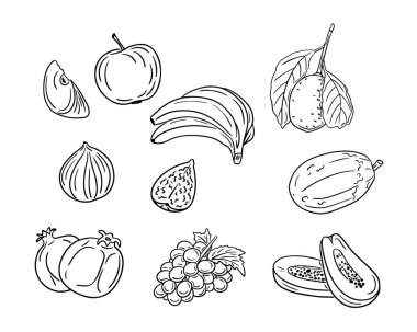 Taslak çizilmiş meyve çizimleri. Beyaz arka planda popüler meyvelerin vektör çizimleri. Boyama sayfaları, dövme, çıkartmalar için ideal
