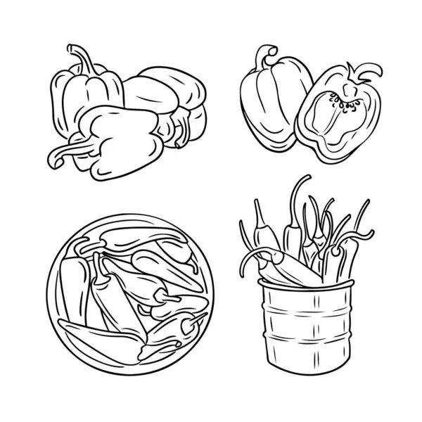 Handgezeichnete Skizzenhafte Zeichnung Von Paprika Gekritzelte Konturgruppen Von Gemüse Für — Stockvektor