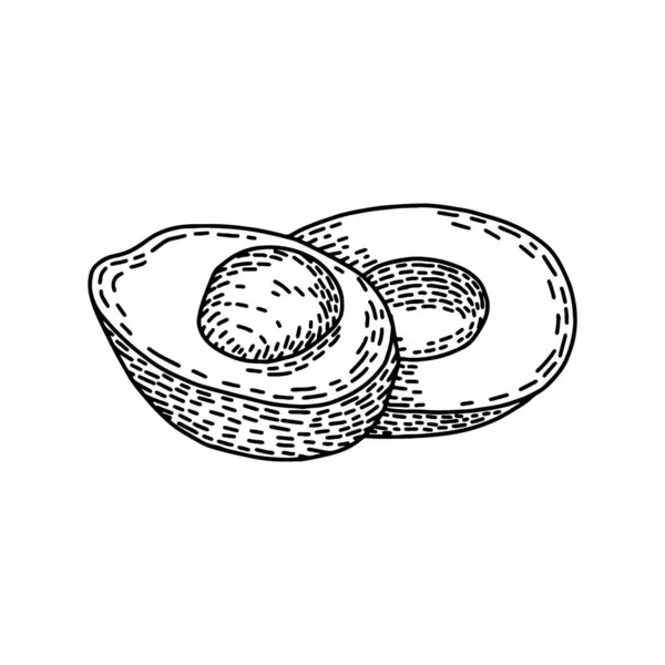 Гравірований Контурний Малюнок Половинок Авокадо Літня Їжа Ілюстрація Гравірованого Стилю — стоковий вектор