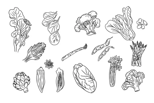 Skizzenhafte Zeichnungen Von Grünem Gemüse Schwarze Skizzen Isoliert Auf Weißem — Stockvektor