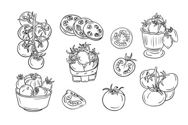 Domateslerin kabataslak çizimlerinden oluşan büyük bir set. Siyah çizgiler beyaz arkaplanda izole edilmiş. Vejetaryen dostu kavram. Boyama sayfaları, dövme, desen için ideal