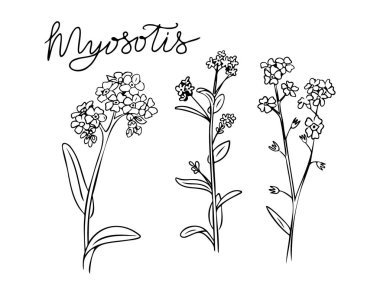 Yazın mitoz iltihaplı karalama seti ya da çiçek getirmemeyi unutma. Tek renkli mevsimlik botanik etiketleri. Beyaz arkaplanda izole edilmiş çizimlerin vektör clipart 'ı