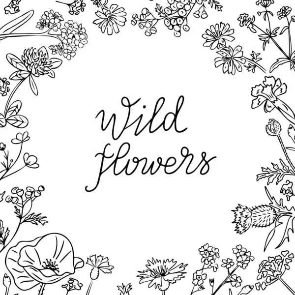 Çiçekli kareli çerçeve, kır çiçekleri ve tek heceli el yazısıyla Vahşi Çiçekler. Tek renkli botanik şablon ya da poster. Beyaz arkaplanda vektör ortamı izole edildi