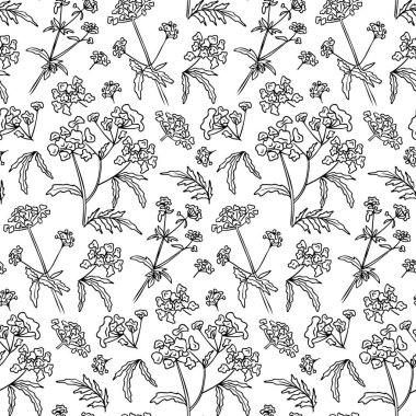 Çiçekli, siyah ve beyaz desenli, karalamalı yaşlı çiçekli ve dallı. Beyaz arka planda izole edilmiş el çizimi. Paketleme, tekstil, kağıt, duvar kağıdı için en iyisi