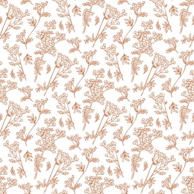 Hassas, pürüzsüz desenli, karalama taneli ve dallı. Beyaz arka planda izole edilmiş el çizimi. Paketleme, tekstil, kağıt, duvar kağıdı için en iyisi
