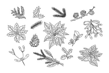 Noel çiçekleri el çizimi seti. Beyaz arka planda kış çiçekleri, dallar ve böğürtlenler. Renkli sayfalar ve çıkartmalar için Noel süslemesi için doğa öğeleri