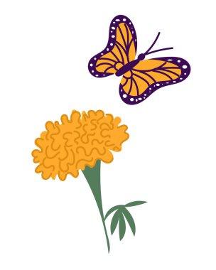 Canlı bir kadife çiçeğinin yanında uçan ve doğayı ve güzelliği simgeleyen kral kelebeğinin renkli bir çizimi. Beyaz arkaplanda izole edilmiş vektör eli çizilmiş Clipart