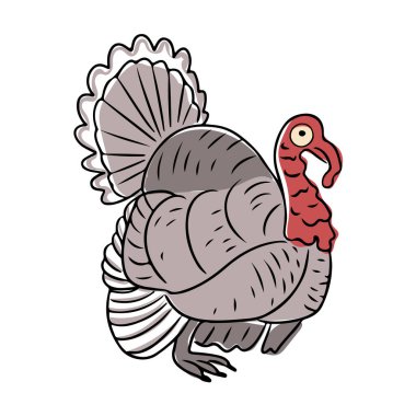 Ayrıntılı tüyleri olan hindi kuşu tasviri ve karalama tarzında tasarlanmış parlak kırmızı gerdan Şükran Günü ve sonbahar hasat kutlamalarını sembolize ediyor. Vektör el çizimi