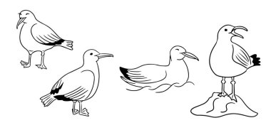 Çeşitli pozlarla siyah beyaz martı karalamaları. Buna ayakta durmak, yüzmek ve bir kayaya tünemek de dahil. Minimalist ve kıyı temasını gözler önüne sermek de dahil.