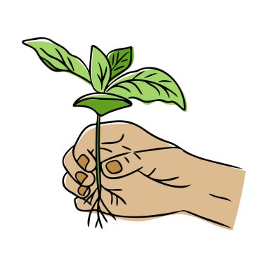 Kökleri açık genç bir yeşil fidanı nazikçe tutan bir insan eli. İllüstrasyon büyüme, doğa, sürdürülebilirlik ve çevresel bakımı sembolize eder.