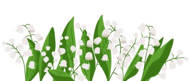 Beyaz arka planda yeşil yapraklı vadi çiçekleri olan beyaz zambaklar. Narin bahar çiçeği vektörü saflığı, yenilenmeyi ve hassasiyeti simgeliyor.