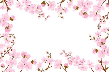 Pembe sakura dalları ortasında boşluk olan bir çiçek çerçevesi oluşturuyor. Bahar çiçeği vektörü mevsimsel selamlar, romantizm ve doğal güzellik temaları için ideal.