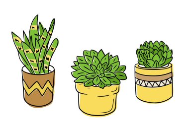 Dekoratif kaplarda elle çizilmiş üç lezzetli saksı seti. Kapalı alandaki yeşilliği, minimalizmi ve çevre dostu yaşam tarzını temsil eden botanik vektörü