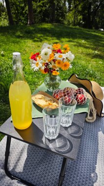Güneşli yeşil parktaki piknik masasında bir şişe limonata, bardaklar, krakerler ve taze çiçekler. Yaz pikniği kavramı, anları paylaşmak ve açık hava toplantılarından hoşlanmak.