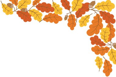 Sonbahar meşe yaprağı köşesinde meşe palamudu ve beyaz arka planda sıcak turuncu ve sarı renkler. Davetiyeler, selamlar ya da mevsimsel promosyonlar için mükemmel bir sonbahar teması çizer