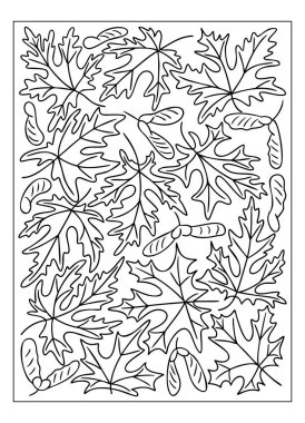 Akçaağaç yapraklarının kusursuz deseni ve beyaz arkaplan renklendirme biçimi üzerine siyah ana hatlı samaralar. Sonbahar, doğa, yeşillik, rahatlama ve mevsimsel faaliyet kavramı