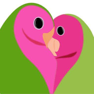 bird with heart cute loving parrots cuddle and form a heart