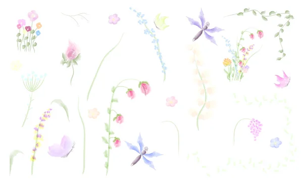 Set Watercolor Flowers Leaves Dragonfly Butterfly Twigs White Background Vector 스톡 일러스트레이션