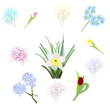  Çiçek seti bahar çiçekleri nergisler laleler ve diğer rengarenk çiçekler her bir çiçek ayrı ayrı