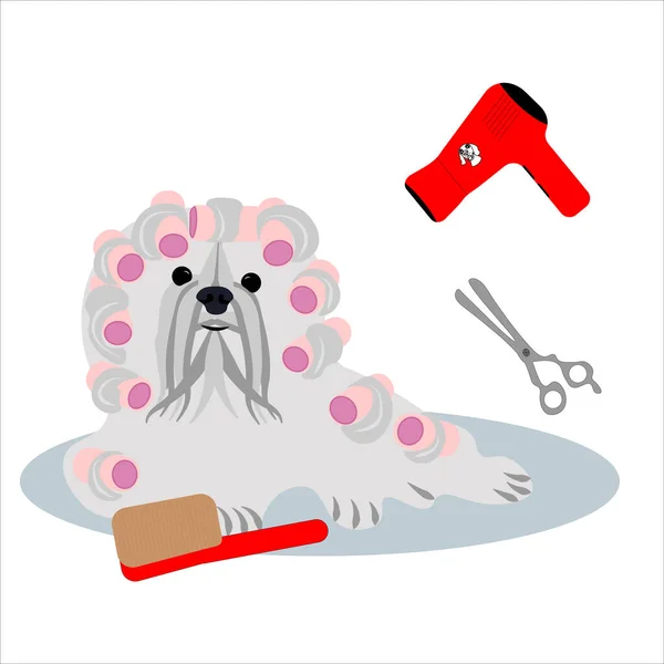 Stock vector cute dog in curlers in grooming salon lying on the mat