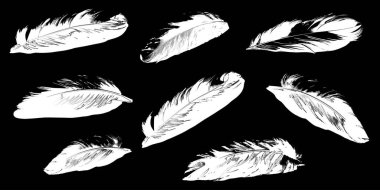 Siyah arkaplanda tüy siluetleri