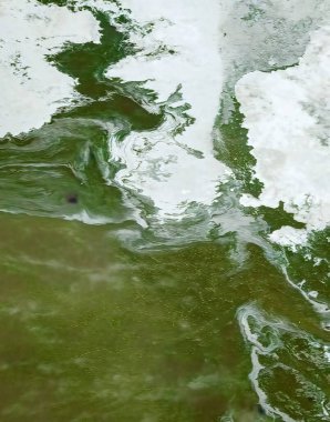 Marble Background Design Illustration