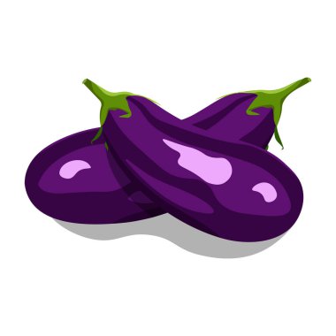 Eggplant isolated on white background. Two eggplants