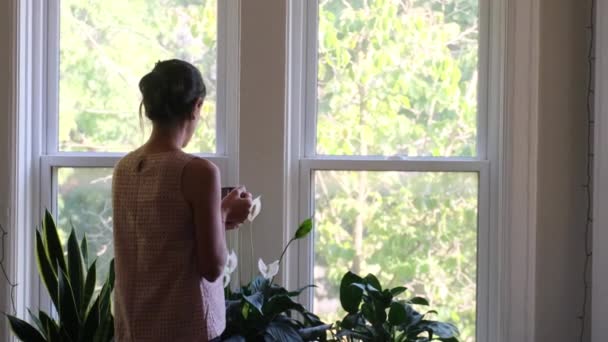 Rückenansicht Attraktive Dame Genießt Tasse Kaffee Hause — Stockvideo