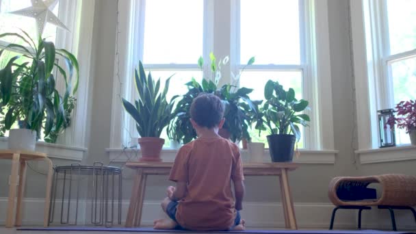 Aprendizado Criança Meditação Mindfulness Auto Controle Introspecção Desenvolvimento Humano Saúde — Vídeo de Stock