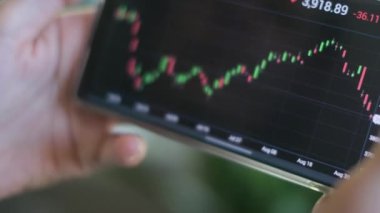 Kadın, uluslararası pazarların evrimini telefon borsasında ekonomik kriz enflasyon borsasında yeni teknolojiler, dalgalanma endeksleri ve grafikleri değerlendiriyor