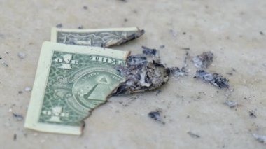 Konsept ekonomi enflasyonu durgunluk temerrüt borçlar ekonomik kriz vergi ipoteği aile ekonomisi dolar banknotlar canlı kadın ellerinin maliyeti tarafından yakıldı