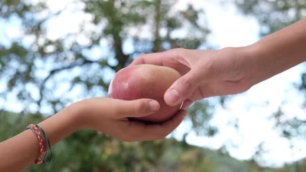 Niño Toma Una Fruta Mano Madre Compartiendo Amabilidad Cuidado Elección — Vídeo de stock