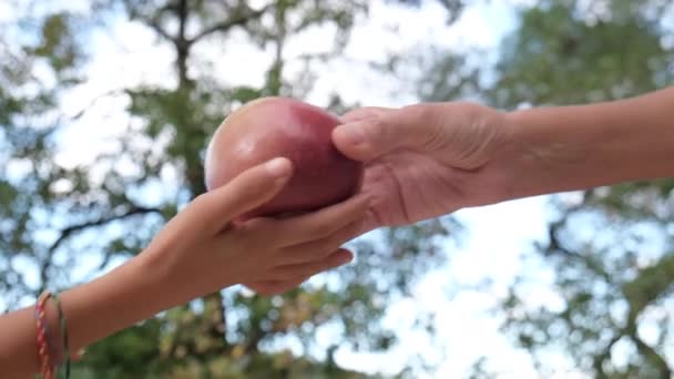 Dziecko Bierze Owoc Ręki Matki Dzielenie Się Życzliwość Troska Zdrowy — Wideo stockowe