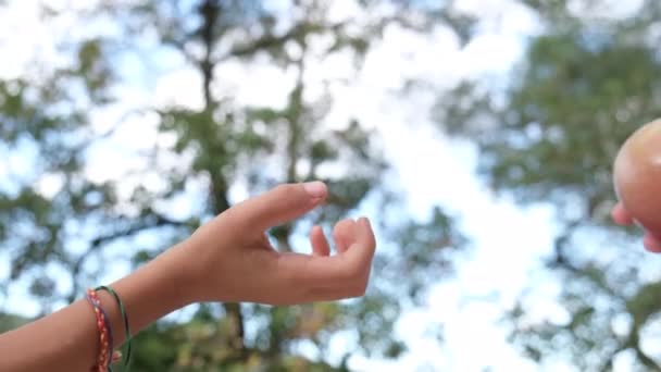 Uma Criança Tira Uma Fruta Mão Mãe Partilha Bondade Cuidado — Vídeo de Stock