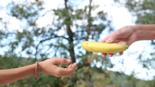 Bir Çocuk Annesinin Elinden Bir Meyve Alır Paylaşmak Şefkat Ilgi — Stok video