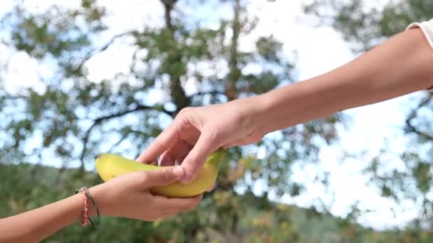 Niño Toma Una Fruta Mano Madre Compartiendo Amabilidad Cuidado Elección — Vídeo de stock