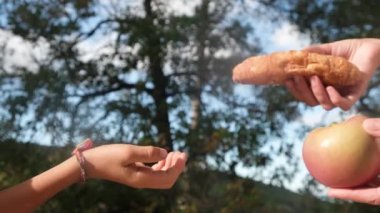 Anne ve oğlunun elleri meyve, endüstriyel hamur işi ve donut arasında seçim yapıyor. Sağlıklı meyve ve abur cubur arasında seçim yapmak zararlı beslenme, diyet konsepti yoluyla yararlı. Çocukluk obezitesi diyabetinden gıda eğitimi