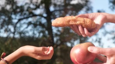 Anne ve oğlunun elleri meyve, endüstriyel hamur işi ve donut arasında seçim yapıyor. Sağlıklı meyve ve abur cubur arasında seçim yapmak zararlı beslenme, diyet konsepti yoluyla yararlı. Çocukluk obezitesi diyabetinden gıda eğitimi
