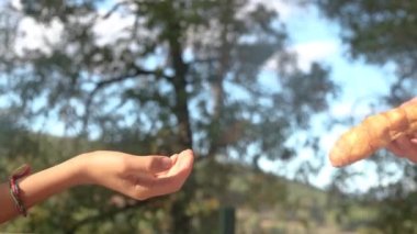 Anne ve oğlunun elleri meyve, endüstriyel hamur işi ve donut arasında seçim yapıyor. Sağlıklı meyve ve abur cubur arasında seçim yapmak zararlı beslenme, diyet konsepti yoluyla yararlı. Çocukluk obezitesi diyabetinden gıda eğitimi