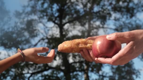 Ręce Matki Syna Wybierając Między Owocami Ciasta Przemysłowe Pączki Dokonywanie — Wideo stockowe
