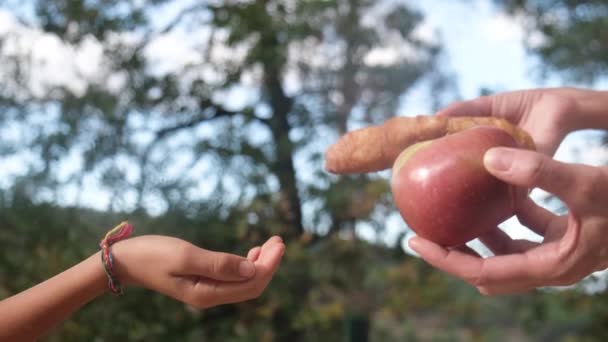 Mâinile Mamei Fiului Alegând Între Fructe Produse Patiserie Industriale Gogoși — Videoclip de stoc